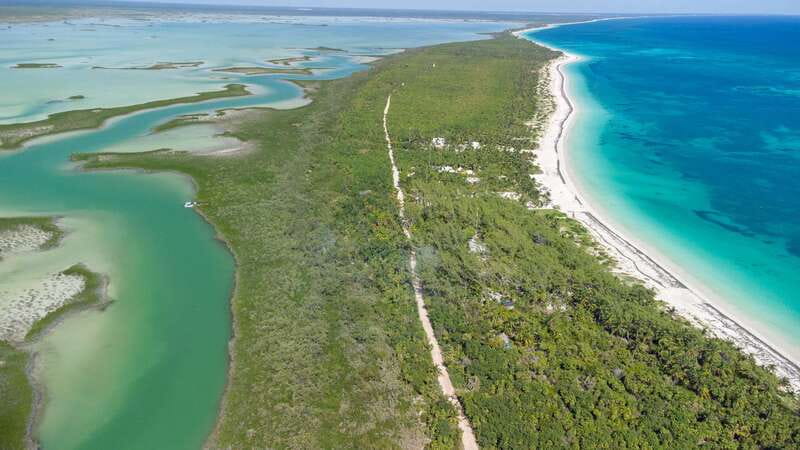 From Riviera Maya: Sian Ka'an Half Day Tour w/ Lunch - Coconut groves, sea swimming, and a slower pause