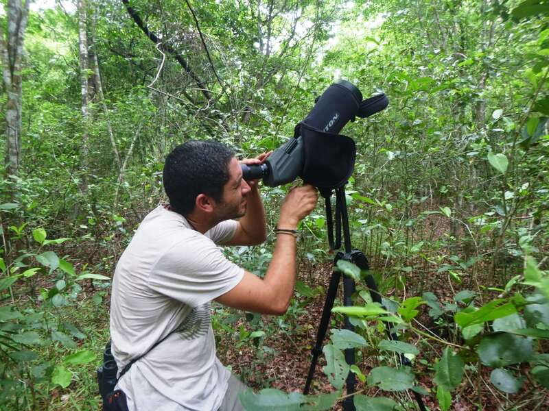 From Riviera Maya : Sian Ka'an Muyil Birdwatching with Guide - Breakfast at 9:00 AM, simple but welcome