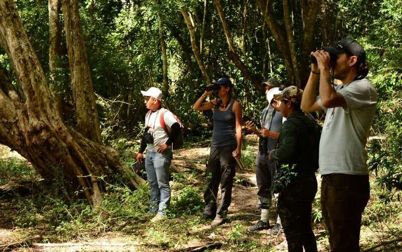 From Riviera Maya : Sian Ka'an Muyil Birdwatching with Guide - Walking the Muyil archaeological site