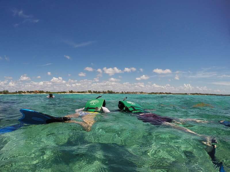 From Riviera Maya: Snorkeling & Private Cenote Half-Day Tour - A serious note about conservation