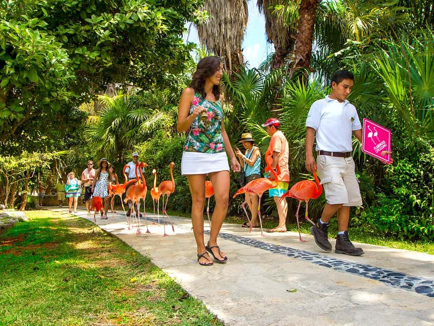 From Riviera Maya: Xcaret Park All-Inclusive - Key Points To Know Before You Go
