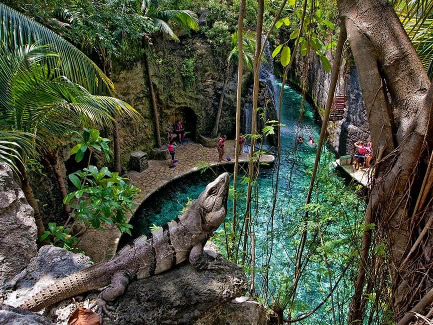 From Riviera Maya: Xcaret Park All-Inclusive - Is $165 A Fair Price?