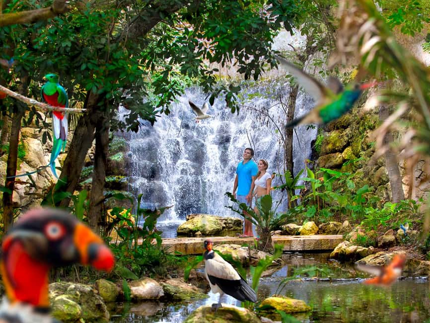 From Riviera Maya: Xcaret Park All-Inclusive - Who Will Enjoy This Experience Most?