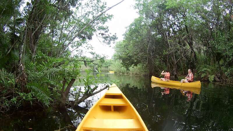 From Tulum: Four-Cenote Adventure - Small groups improve the pace