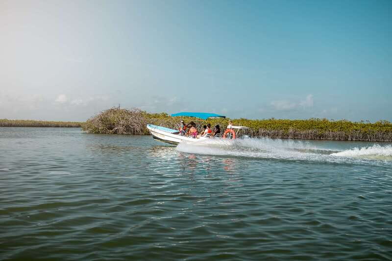 From Tulum: Sian Kaan Boat Trip Adventure with Lunch - Simple ways to prepare