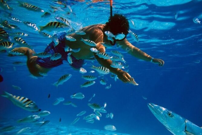 Full-Day Catamaran Cozumel Tour with Sky Snorkeling - Two reefs and one famous starfish stop