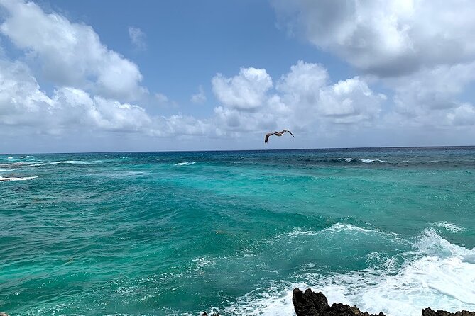 Full-Day Catamaran Cozumel Tour with Sky Snorkeling - The early Playa del Carmen meeting point needs care