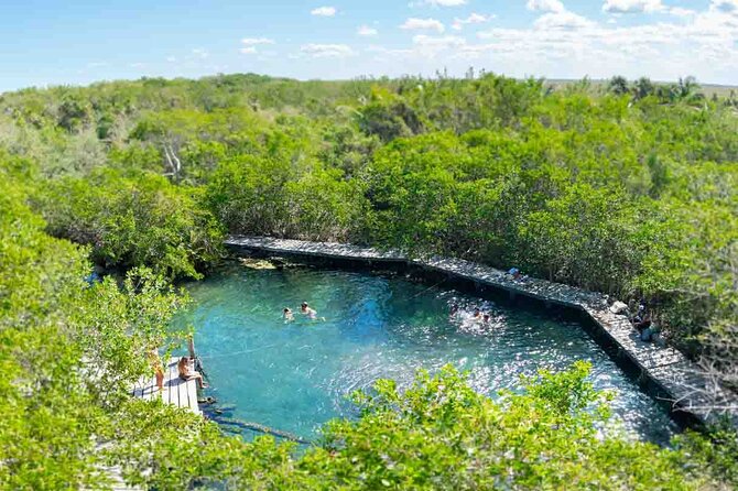 Full Day Excursion to the Best of Holbox From Riviera Maya - The early start from Riviera Maya