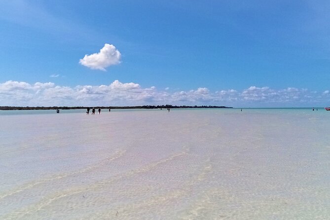 Full Day Excursion to the Best of Holbox From Riviera Maya - Yalahau Lagoon offers a freshwater change