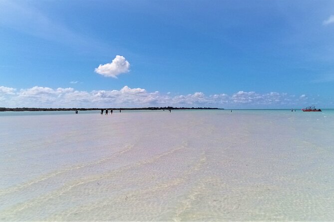 Full Day Excursion to the Best of Holbox From Riviera Maya - Lunch and drinks keep the day simple