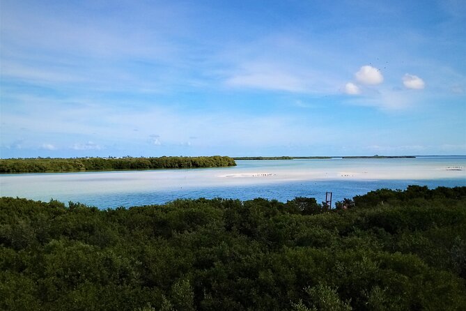 Full Day Excursion to the Best of Holbox From Riviera Maya - The boat ride can be exciting, not quiet