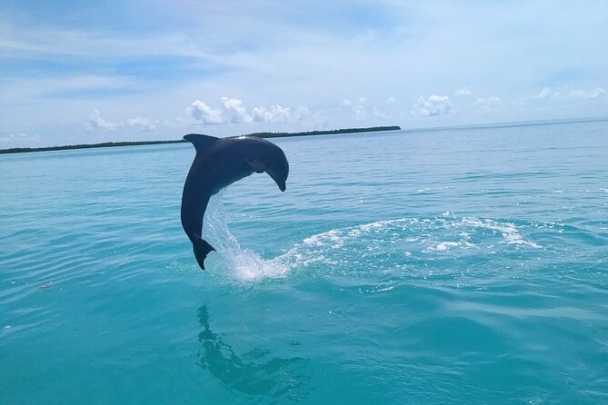 Full Day Guided Tour to Sian Ka'an (short way) - Snorkeling in a natural pool