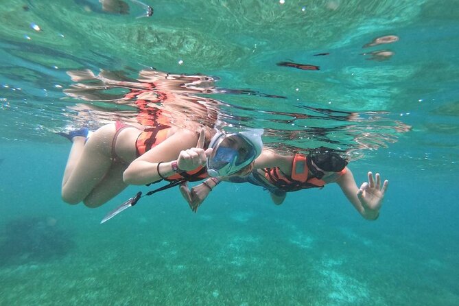 Full Day Guided Tour to Sian Ka'an (short way) - What the $235 price really covers