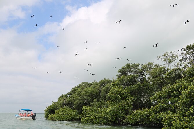 Full Day Guided Tour to Sian Ka'an (short way) - Who will enjoy this day most