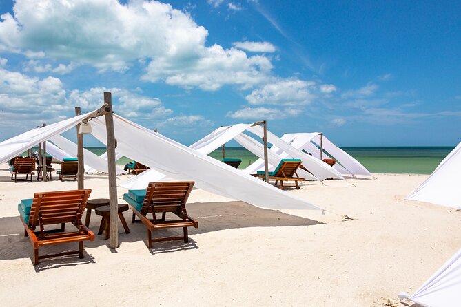 Full-Day Holbox Island Boat and Buggy Tour with Lunch - The real Holbox experience starts with a long road trip