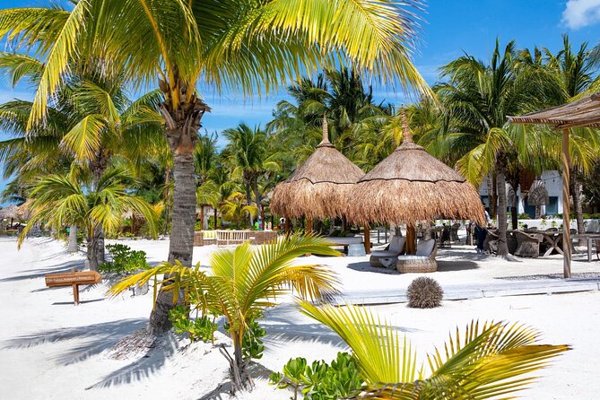 Full-Day Holbox Island Boat and Buggy Tour with Lunch - The buggy ride is fun, but do not expect a major expedition