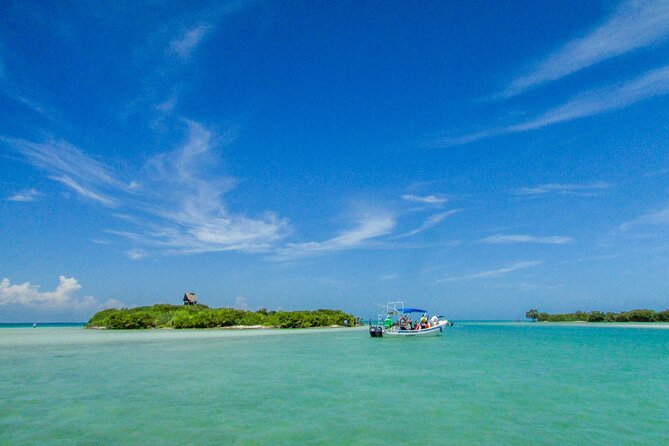 Full Day Holbox Island Tour from Playa del Carmen with Lunch - Three hours on Holbox Island