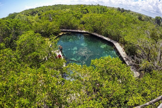 Full Day Holbox Island Tour from Playa del Carmen with Lunch - What the guide can add to a busy day