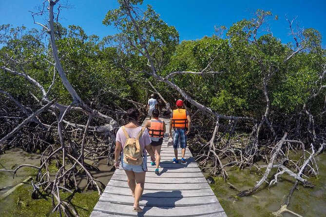 Full Day Holbox Island Tour from Playa del Carmen with Lunch - What to pack for the boat and beach