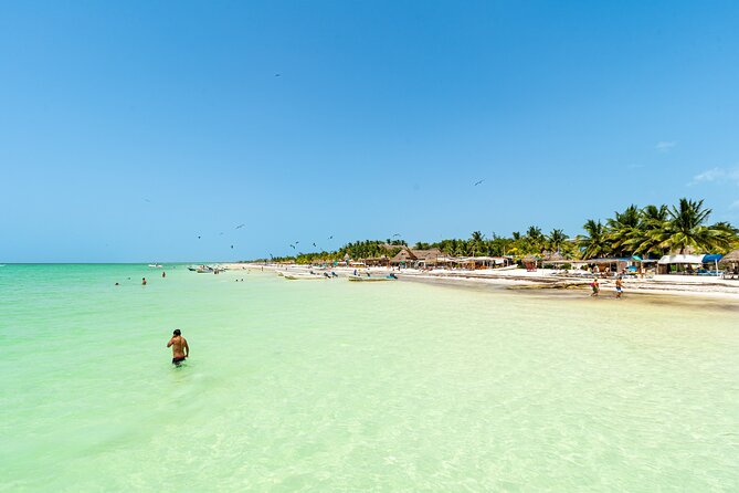 Full Day Holbox Island Tour from Playa del Carmen with Lunch - Starting from Coco Bongo in Playa del Carmen