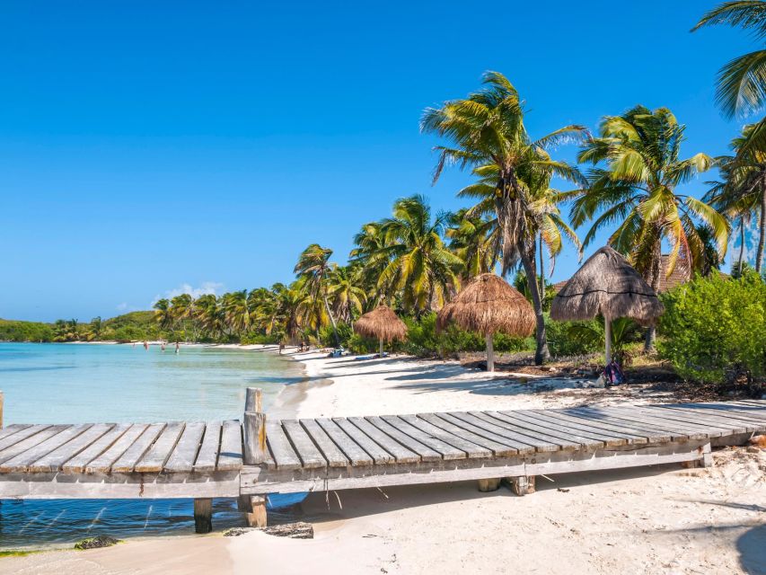 Full Day Nature Expedition to Contoy Island and Isla Mujeres - Who will enjoy this trip most