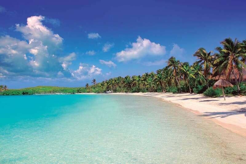 Full Day Nature Expedition to Contoy Island and Isla Mujeres - Why Contoy Island is the heart of the day