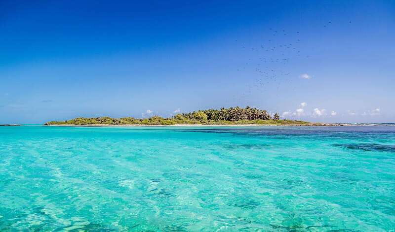 Full Day Nature Expedition to Contoy Island and Isla Mujeres - What the $159 price really includes