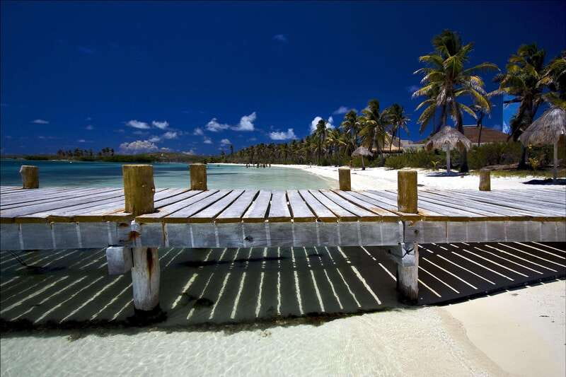 Full Day Nature Expedition to Contoy Island and Isla Mujeres - The morning pickup and two-hour van ride