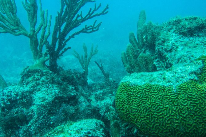 Full-Day Sailing Trip to Mujeres Island from Playa del Carmen - Forty minutes under sail toward Isla Mujeres