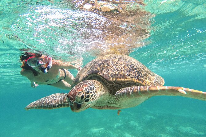 Full Day Tour to Tulum Cenote and Swim with Turtles in Akumal - Tulum ruins beside the Caribbean Sea