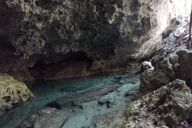 Full-dayTurtle Adventure: ATV, Zipline, Cenote & Turtle Swim - Lunch, snacks, and hammock time