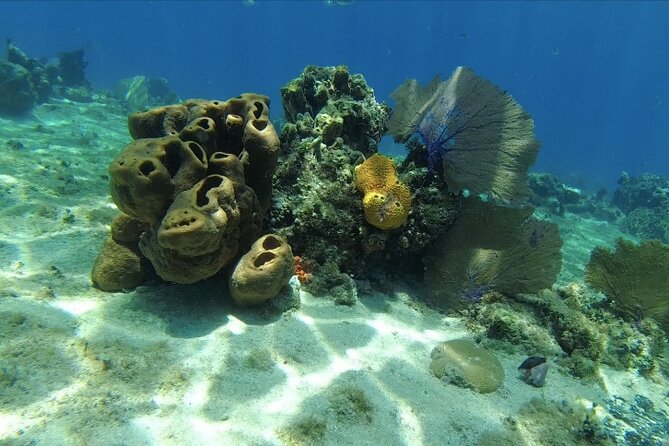 Fun Dive Machine in Playa del Carmen or Cozumel-For Certificates - Is the $251 price good value?