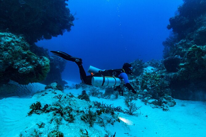 Fun Dive Machine in Playa del Carmen or Cozumel-For Certificates - Who should book this reef outing?