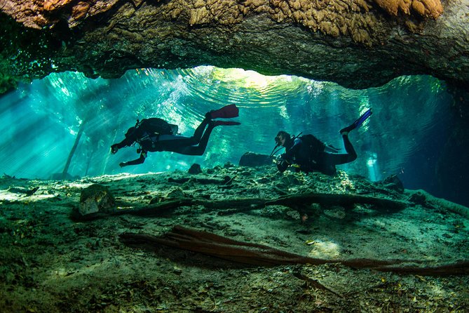 Go for 2 dives in cenote Dos ojos for certified divers - Starting at La Calypso Dive Center at 8:30 am