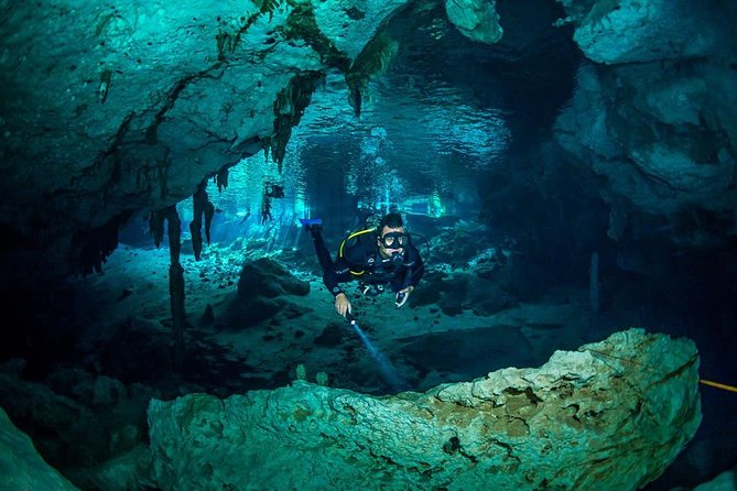 Go for 2 dives in cenote Dos ojos for certified divers - The Barbie Line: a first look at the underground world