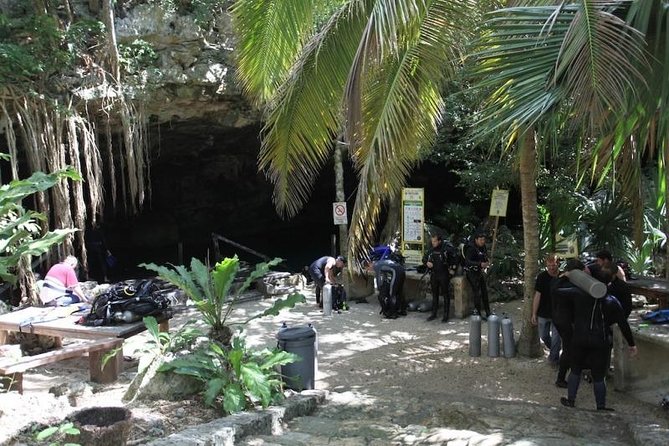 Go for 2 dives in cenote Dos ojos for certified divers - Who should book this Dos Ojos experience?