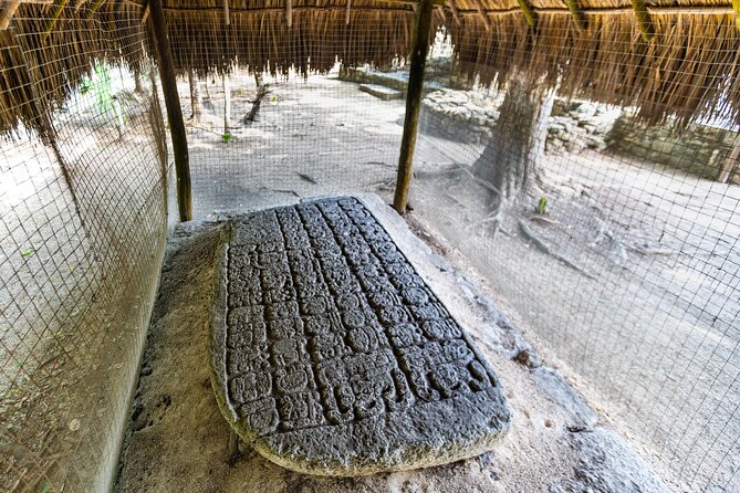 Half a Day Tour to Coba Ruins with Cenote and Mayan Village - The 90-minute walk through Coba’s jungle ruins