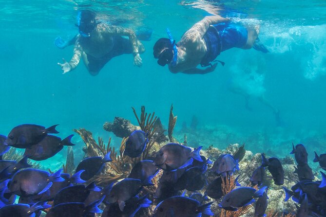 Half-Day Luxury Sailing Experience in Tulum with Open Bar - Lunch, drinks, music, and the mood onboard