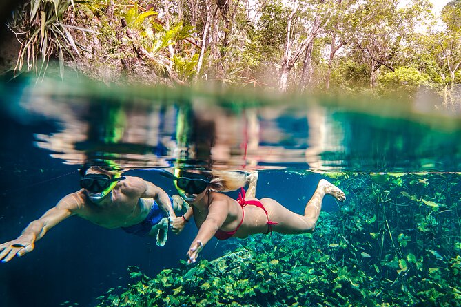 Half Day Private Snorkeling with Turtles and Majestic Cenotes - Who will enjoy this tour most