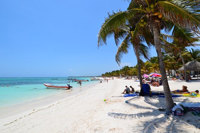 Half Day Private Snorkeling with Turtles and Majestic Cenotes - The freshwater world of Yum-Ha cenote