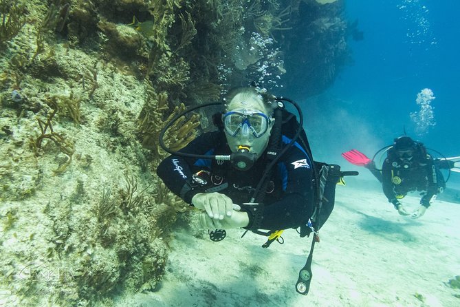 Half-Day Scuba Diving in Playa del Carmen for Small-Group - Coral, turtles, eels, and the luck of the reef