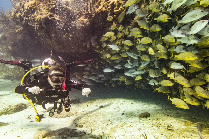 Half-Day Scuba Diving in Playa del Carmen for Small-Group - Who should book this Playa del Carmen outing?