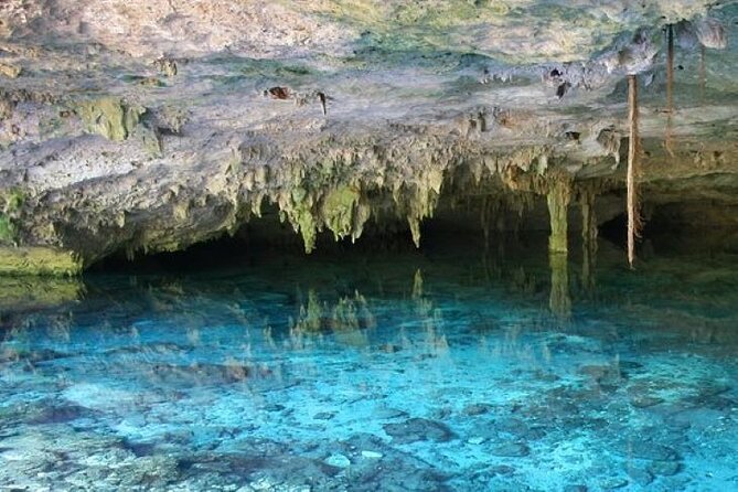 Half Day Semiprivate Snorkeling with Turtles and Majestic Cenote - A simple Mexican meal in the forest