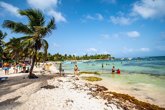 Half Day Tour: Turtles Encounter in Akumal Beach - What the $101.74 Price Really Covers