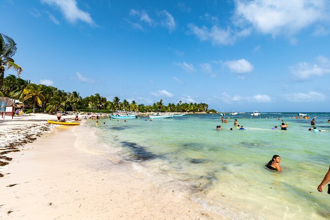 Half Day Tour: Turtles Encounter in Akumal Beach - Who Will Get the Most From This Outing