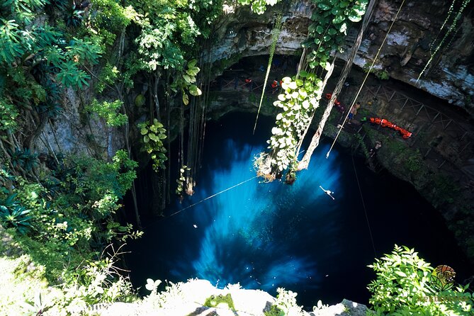 Half-Day Yucatan's Instagram Cenotes PRIVATE TOUR - Why this route works from Playa del Carmen