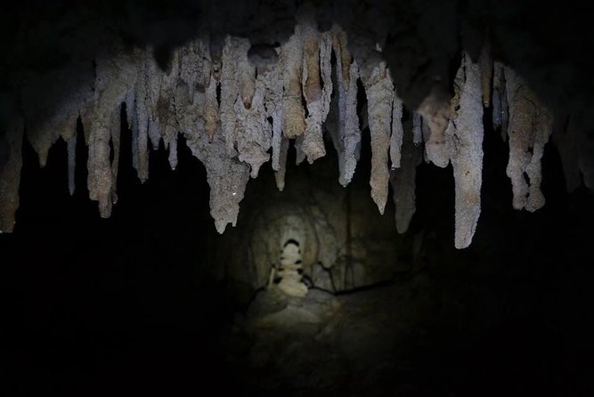 Hidden Cenote exploration in Playa del Carmen - Who should book this cave and cenote visit?