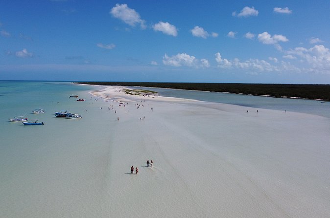 Holbox island: Boat tour & golf cart ride, Lunch and open bar - Hotel lunch, drinks, pool, and a little breathing room