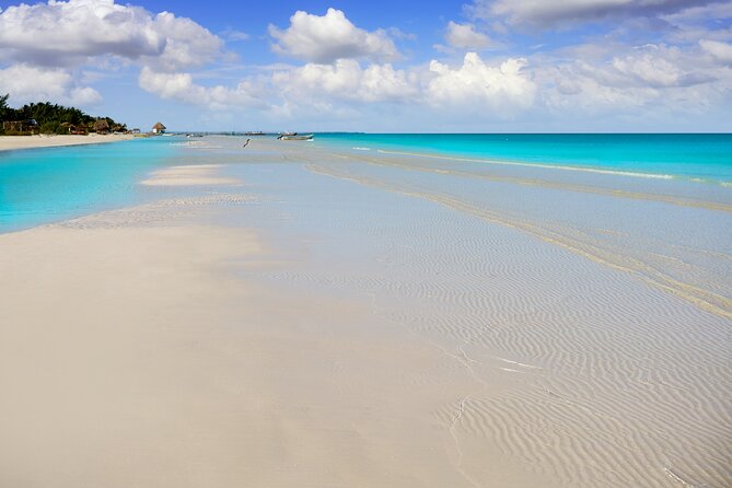 Holbox island: Boat tour & golf cart ride, Lunch and open bar - The guides can make or break the day