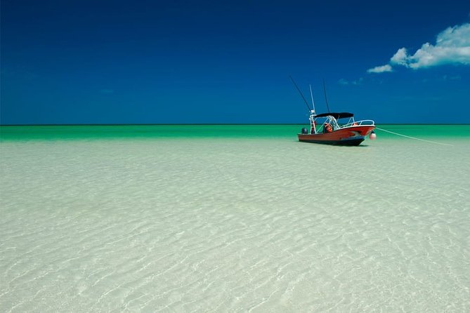 Holbox Island Full Day Trip with Lunch From Playa del Carmen - Free time in Holbox town